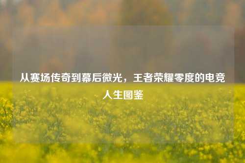 从赛场传奇到幕后微光，王者荣耀零度的电竞人生图鉴
