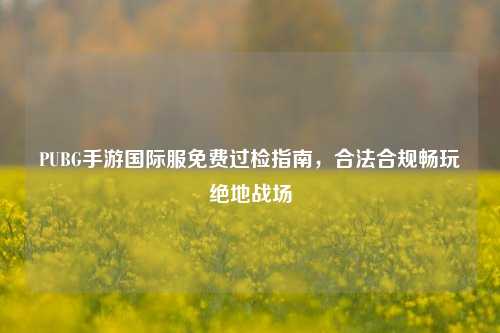 PUBG手游国际服免费过检指南，合法合规畅玩绝地战场