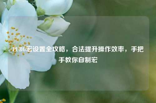 PUBG宏设置全攻略，合法提升操作效率，手把手教你自制宏