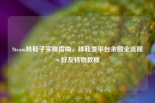 Steam转鞋子实操指南，球鞋变平台余额全流程+好友转物教程