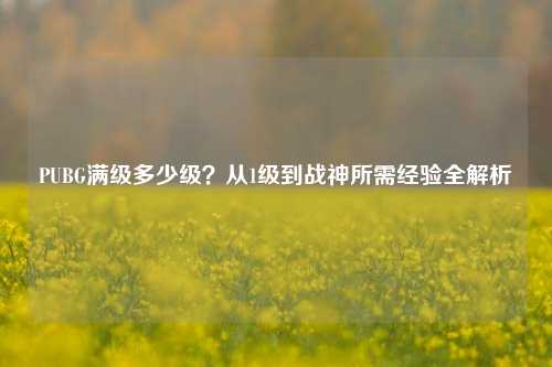 PUBG满级多少级？从1级到战神所需经验全解析