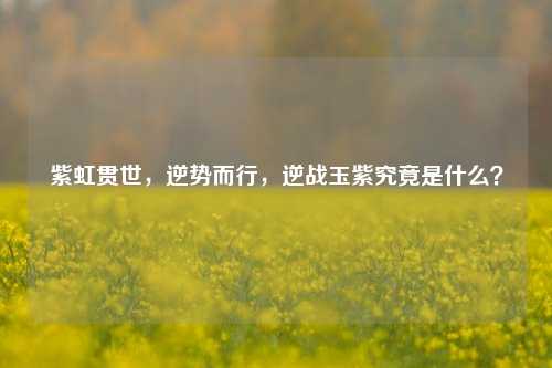 紫虹贯世，逆势而行，逆战玉紫究竟是什么？
