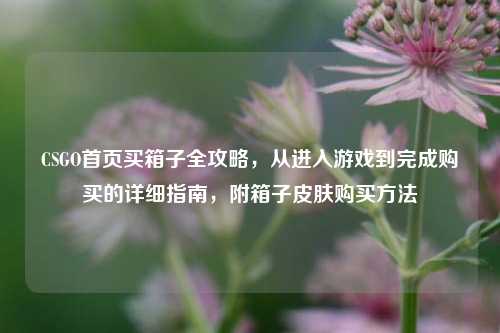 CSGO首页买箱子全攻略，从进入游戏到完成购买的详细指南，附箱子皮肤购买     