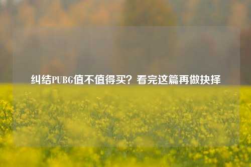 纠结PUBG值不值得买？看完这篇再做抉择