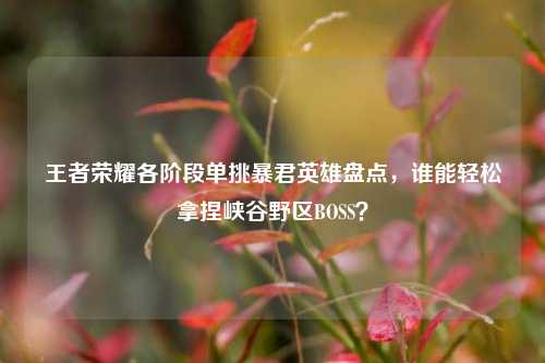 王者荣耀各阶段单挑暴君英雄盘点，谁能轻松拿捏峡谷野区BOSS？