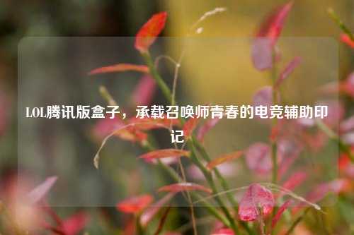 LOL腾讯版盒子，承载召唤师青春的电竞辅助印记