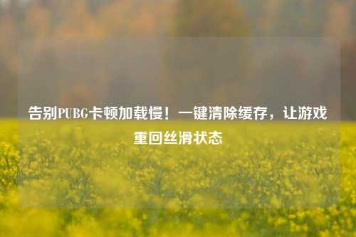 告别PUBG卡顿加载慢！一键清除缓存，让游戏重回丝滑状态