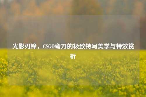 光影刃锋，CSGO弯刀的极致特写美学与特效赏析