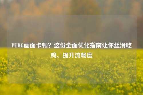 PUBG画面卡顿？这份全面优化指南让你丝滑吃鸡、提升流畅度