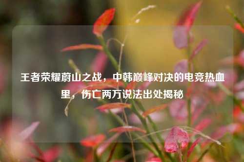 王者荣耀蔚山之战，中韩巅峰对决的电竞热血里，伤亡两万说法出处揭秘