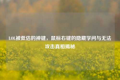 LOL被低估的神键，鼠标右键的隐藏学问与无法攻击真相揭秘