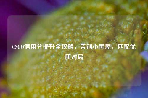 CSGO信用分提升全攻略，告别小黑屋，匹配优质对局