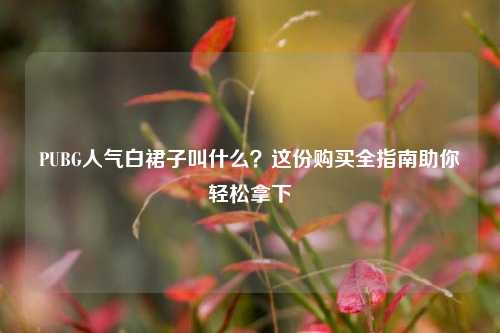 PUBG人气白裙子叫什么？这份购买全指南助你轻松拿下