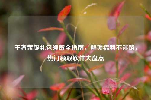 王者荣耀礼包领取全指南，解锁福利不迷路，热门领取软件大盘点