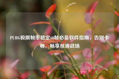 PUBG极限帧率稳定60帧必备软件指南，告别卡顿，畅享丝滑战场