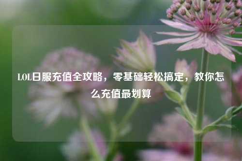 LOL日服充值全攻略，零基础轻松搞定，教你怎么充值最划算