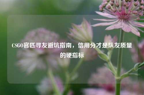 CSGO官匹寻友避坑指南，信用分才是队友质量的硬指标