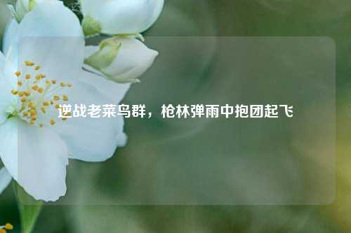 逆战老菜鸟群，枪林弹雨中抱团起飞