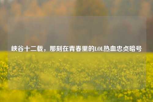 峡谷十二载，那刻在青春里的LOL热血忠贞暗号