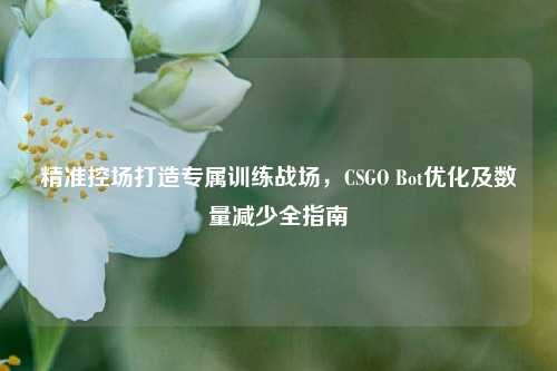 精准控场打造专属训练战场，CSGO Bot优化及数量减少全指南