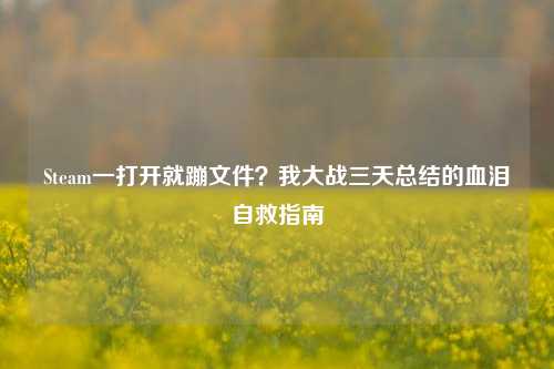 Steam一打开就蹦文件？我大战三天总结的血泪自救指南