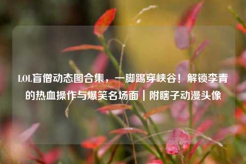 LOL盲僧动态图合集，一脚踢穿峡谷！解锁李青的热血操作与爆笑名场面｜附瞎子动漫头像