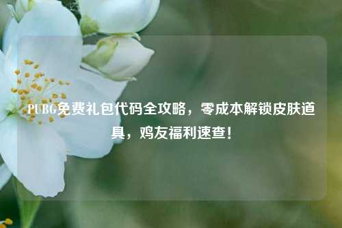 PUBG免费礼包代码全攻略，零成本解锁皮肤道具，鸡友福利速查！