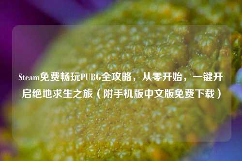 Steam免费畅玩PUBG全攻略，从零开始，一键开启绝地求生之旅（附手机版中文版免费下载）