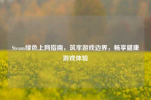 Steam绿色上网指南，筑牢游戏边界，畅享健康游戏体验