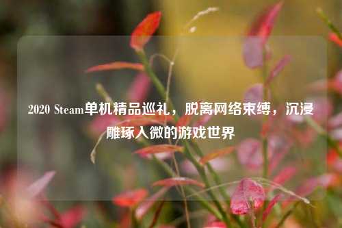 2020 Steam单机精品巡礼，脱离     束缚，沉浸雕琢入微的游戏世界