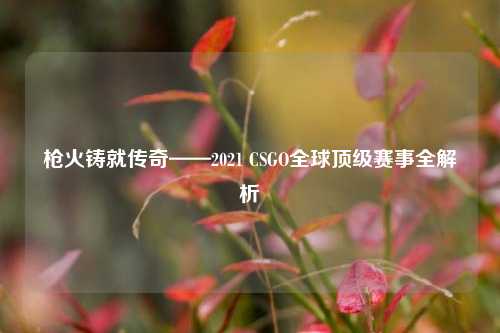 枪火铸就传奇——2021 CSGO全球顶级赛事全解析
