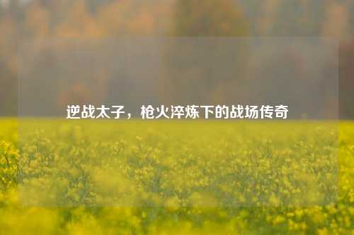 逆战太子，枪火淬炼下的战场传奇