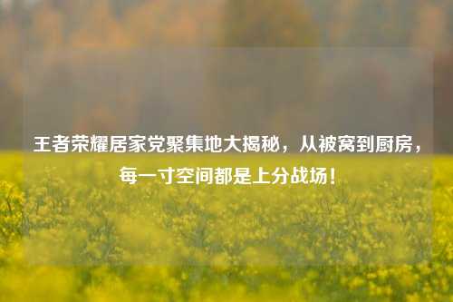 王者荣耀居家党聚集地大揭秘，从被窝到厨房，每一寸空间都是上分战场！