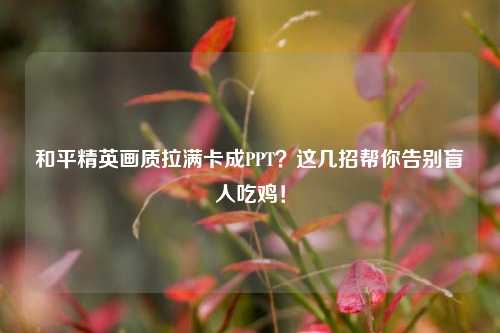 和平精英画质拉满卡成PPT？这几招帮你告别盲人吃鸡！
