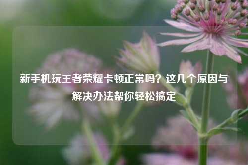 新手机玩王者荣耀卡顿正常吗？这几个原因与解决办法帮你轻松搞定