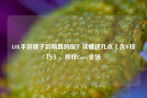 LOL手游瞎子后期真的废？读懂这几点（含W技巧），照样Carry全场