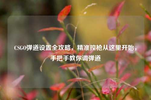 CSGO弹道设置全攻略，精准控枪从这里开始，手把手教你调弹道