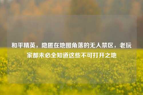 和平精英，隐匿在地图角落的无人禁区，老玩家都未必全知道这些不可打开之地