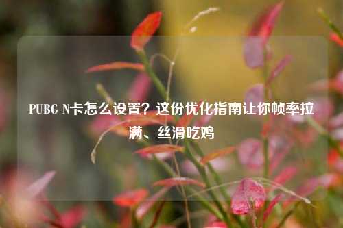 PUBG N卡怎么设置？这份优化指南让你帧率拉满、丝滑吃鸡