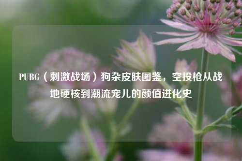PUBG（     战场）狗杂皮肤图鉴，空投枪从战地硬核到潮流宠儿的颜值进化史