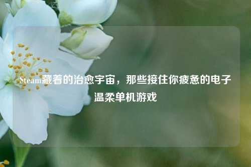 Steam藏着的治愈宇宙，那些接住你疲惫的电子温柔单机游戏
