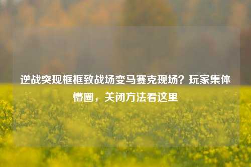 逆战突现框框致战场变马赛克现场？玩家集体懵圈，关闭     看这里