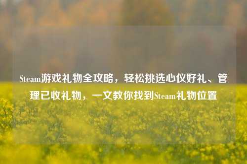 Steam游戏礼物全攻略,轻松挑选心仪好礼、管理已收礼物,一文教你找到Steam礼物位置