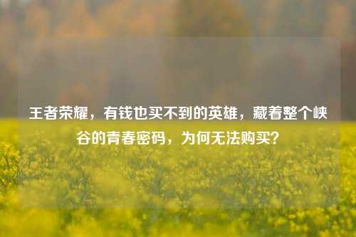 王者荣耀,有钱也买不到的英雄,藏着整个峡谷的青春密码,为何无法购买?