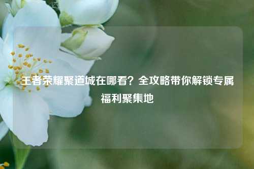 王者荣耀聚道城在哪看？全攻略带你解锁专属福利聚集地