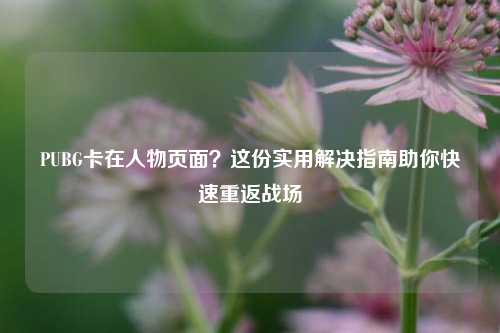 PUBG卡在人物页面?这份实用解决指南助你快速重返战场