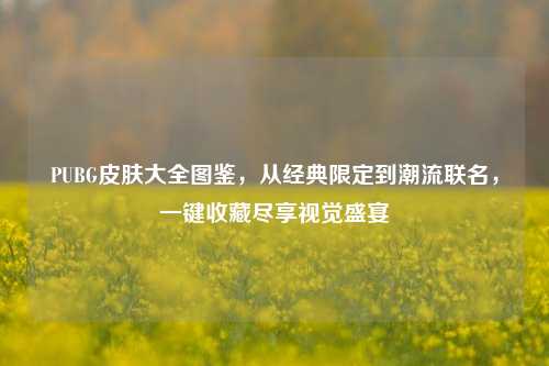 PUBG皮肤大全图鉴，从经典限定到潮流联名，一键收藏尽享视觉盛宴