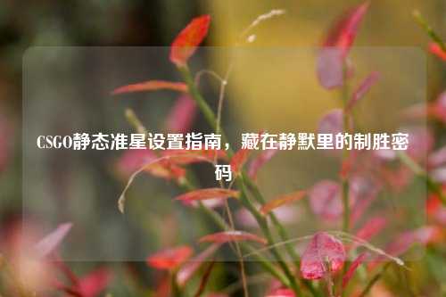 CSGO静态准星设置指南，藏在静默里的制胜密码