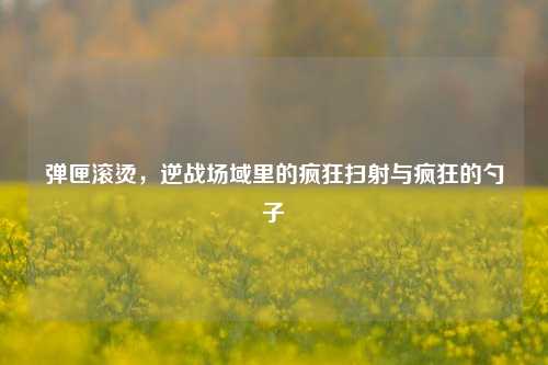 弹匣滚烫，逆战场域里的疯狂扫射与疯狂的勺子