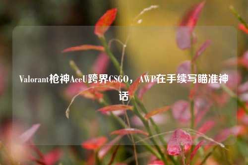 Valorant枪神AceU跨界CSGO,AWP在手续写瞄准神话